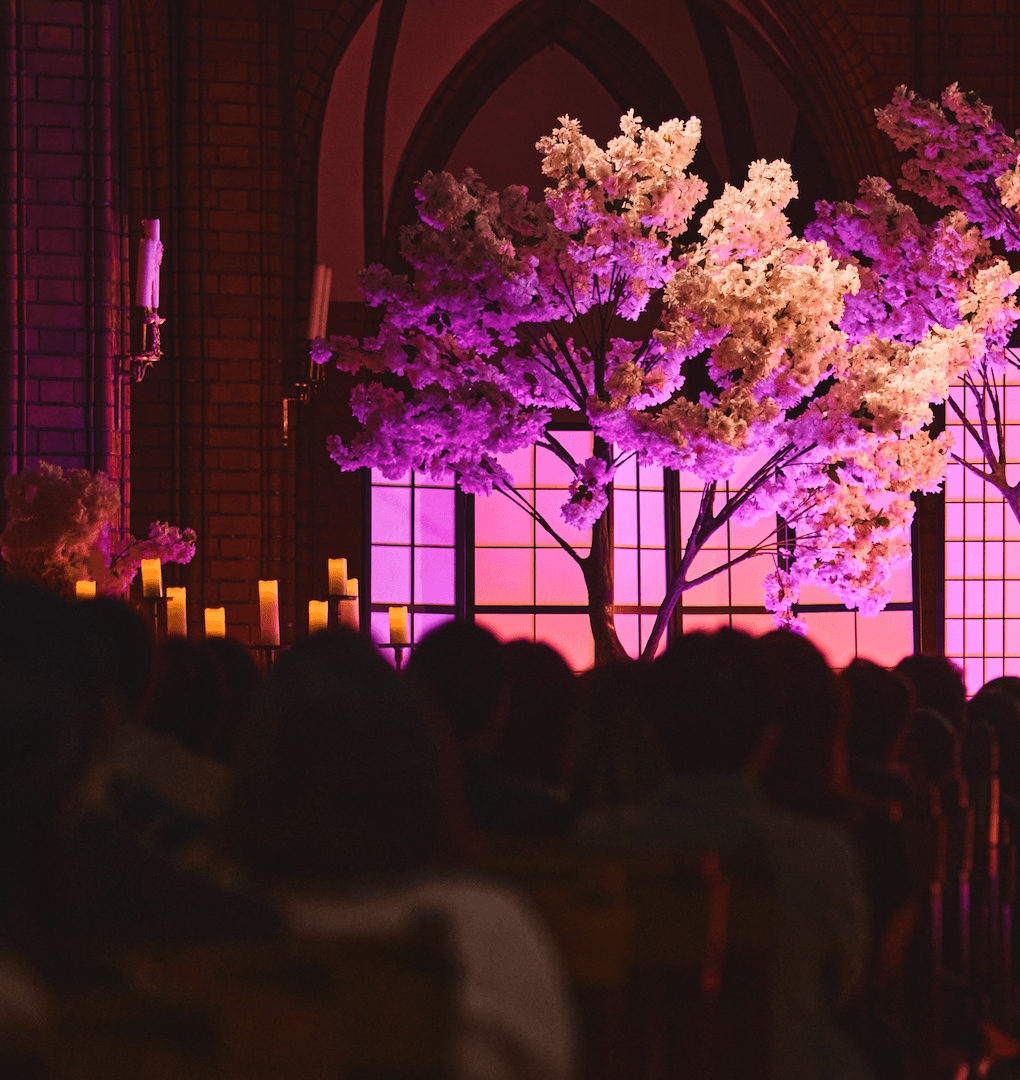 Natsu Hikari Secret Concert